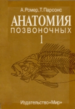 Анатомия позвоночных. Том 1