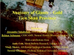 Anatomy of giants-gold Tien Shan province / Строение гигантских золоторудных месторождений Тянь-Шаньской провинции
