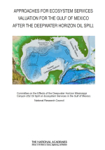 Approaches for ecosystem services valuation for the gulf of Mexico after the deepwater horizon oil spill / Подходы к оценке экосистемных услуг Мексиканского залива после разлива нефти на глубоководном горизонте