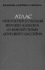 Атлас микроспор и пыльцы верхнего карбона и нижней перми Донецкого бассейна