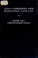 Атлас руководящих форм ископаемых фаун СССР. Том 4. Нижний отдел каменноугольной системы