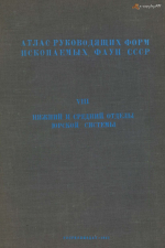 Атлас руководящих форм ископаемых фаун СССР. Том 8. Нижний и средний отделы юрской системы