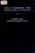 Атлас руководящих форм ископаемых фаун СССР. Том 4. Нижний отдел каменноугольной системы