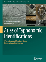 Atlas of taphonomic Identifications. 1001+ images of fossil and recent mammal bone modification / Атлас тафономических обозначений. 1001+ изображений ископаемых и недавних модификаций костей млекопитающих
