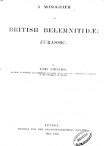 British belemnitidae: Jurassic / Британские белемниты: Юра