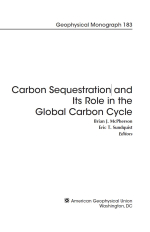 Carbon sequestration and its role in the global carbon cycle / Поглощение углерода и его роль в глобальном углеродном цикле