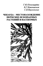 Чекарда - местонахождение пермских ископаемых растений и насекомых