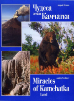 Чудеса земли Камчатки