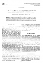 Comparative rheological behaviour of albite and quartz in siliceous schists revealed by the microboudinage of piedmontite