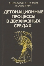 Детонационные процессы в двухфазных средах 