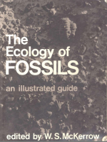 The ecology of fossils / Экология окаменелостей
