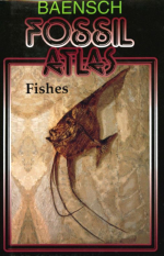 Fossil atlas. Fishes / Атлас ископаемых останков. Рыбы