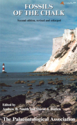 Fossils of the Chalk / Ископаемые мела