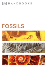 Fossils / Ископаемые