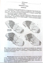 Геология Азербайджана. Том 2. Литология