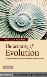 The geometry of evolution