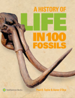 A history of life in 100 fossils / История жизни в 100 ископаемых останках