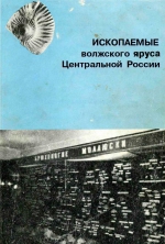 Ископаемые волжского яруса Центральной России