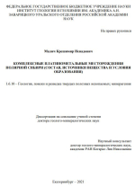 Комплексные платинометальные месторождения полярной Сибири (состав, источники вещества и условия образования)