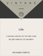 Life. A natural history of the first four billion years of life on Earth / Жизнь. Естественная история первых четырех миллиардов лет жизни на Земле