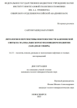 Литология и перспективы нефтеносности баженовской свиты на Малобалыкском куполовидном поднятии (Западная Сибирь)