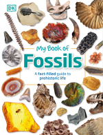 My book fossils / Моя книга "окаменелости"