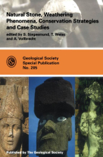 Natural stone, weathering phenomena, conservation strategies and case studies / Натуральный камень, атмосферные явления, подходы к сохранению и примеры для изучения