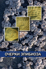 Очерки эпибиоза