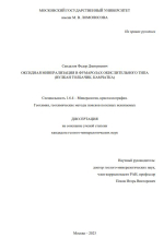 Оксидная минерализация в фумаролах окислительного типа (вулкан Толбачик, Камчатка)