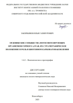 Ордовикские сообщества фотосинтезирующих организмов Горного Алтая, их стратиграфическое положение и роль в биогенном карбонатонакоплении