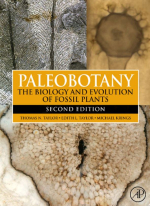 Paleobotany. The biology and evolution of fossil plants / Палеоботаника. Биология и эволюция ископаемых растений