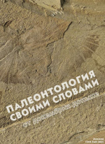 Палеонтология своими словами: от докембрия доныне