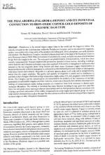 The Phalaborwa (Palabora) deposit and its potential connections to iron-oxide copper-gold depositsof Olympic Dam type