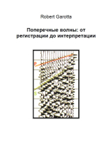 Поперечные волны: от регистрации до интерпретации. Краткий курс лекций для высших учебных заведений
