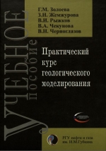 Практический курс геологического моделирования