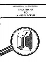 Практикум по минералогии. Учебное пособие. Силикаты