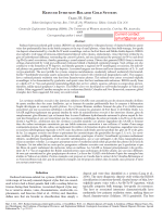 Reduced intrusion-related gold systems / Золоторудные системы связанные с восстановленными интрузиями (ильменитовые граниты) 