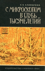 С микроскопом в глубь тысячелетий