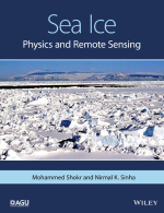 Sea ice. Physics and remote sensing / Морской лед. Физика и дистанционное зондирование