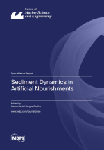 Sediment dynamics in artificial nourishments / Динамика отложений в искусственных продуктах питания