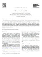 Shear zone-related folds / Складки, связанные с зоной сдвига