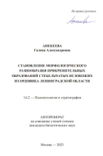 Становление морфологического разнообразия прикрепительных образований стебельчатых иглокожих из ордовика Ленинградской области
