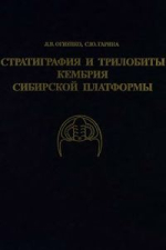 Стратиграфия и трилобиты кембрия Сибирской платформы