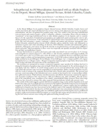 Subepithermal Au-Pd mineralization associated with an alkalic porphyry Cu-Au deposit, Mount Milligan, Quesnel Terrane, British Columbia, Canada / Субэпитермальная Au-Pd минерализация, связанная со щелочно-порфировым Cu-Au месторождением, гора Миллиган