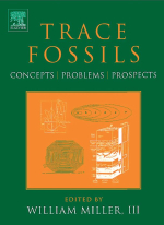 Trace fossils. Concepts, problems, prospects / Следы окаменелостей. Концепции, проблемы, перспективы