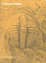 Trilobites in Wales / Трилобиты Уэльса
