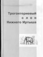 Трогонтериевый слон Нижнего Иртыша