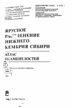 Ярусное расчленение нижнего кембрия. Атлас окаменелостей