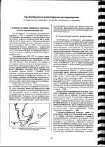 Зун-Холбинское золоторудное месторождение.