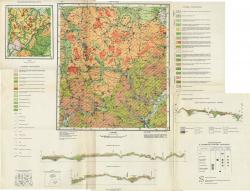 N-36-XVIII. Геологическая карта СССР.Четвертичные отложения. Серия Московская